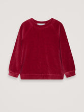 Load image into Gallery viewer, Velour Blouse
