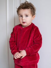 Load image into Gallery viewer, Velour Blouse
