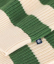 Load image into Gallery viewer, Striped Green Quarter-Zip Sweater
