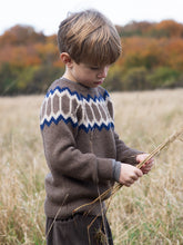 Load image into Gallery viewer, Llama Raglan Brown Sweater
