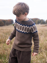 Load image into Gallery viewer, Llama Raglan Brown Sweater
