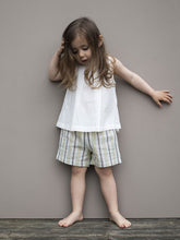 Load image into Gallery viewer, Serendipity Misty Stripe Shorts
