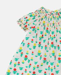 Baby Dreamy Flowers Dress and Bloomers