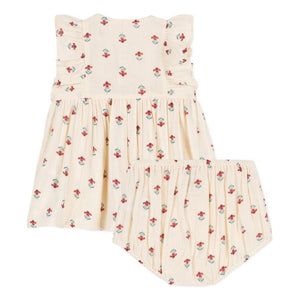 Baby Girl Floral Dress with Bloomers